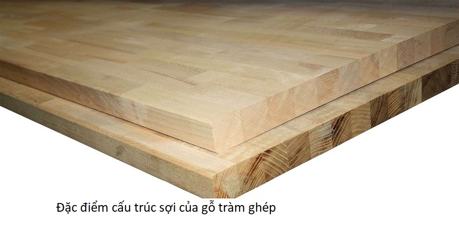 Đặc điểm cấu trúc sợi của gỗ tràm ghép