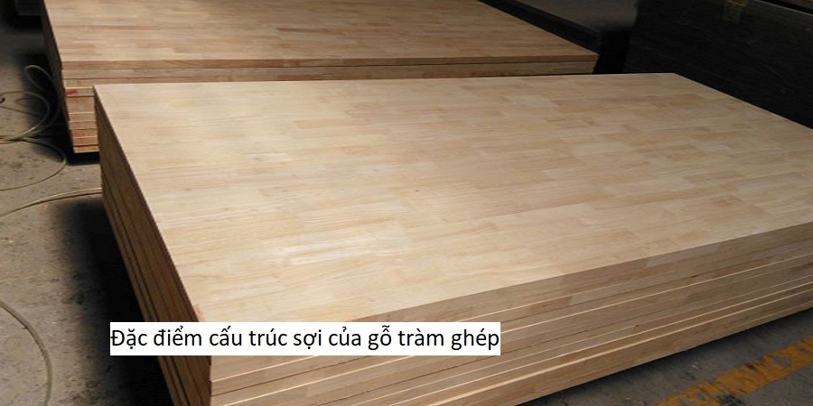 Đặc điểm cấu trúc sợi của gỗ tràm ghép